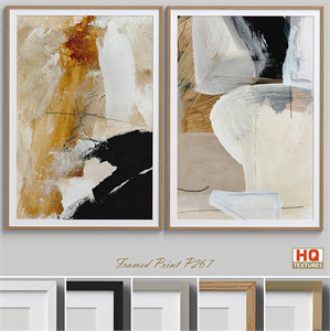 Framed Print P-267